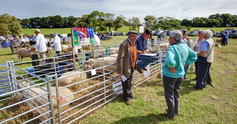 Woolsery Agricultural Show